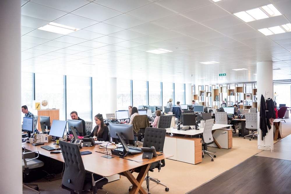 the best place to buy freestanding dividers